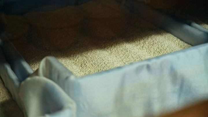 丁寧に洗いを繰り返した酒※は、蒸した後、米麹にします。 