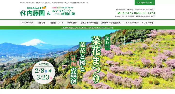 神奈川県の河津桜が見られる人気桜の名所9選