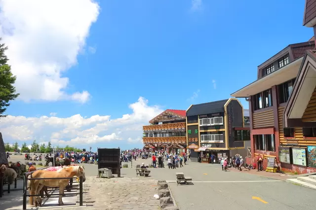 资料来源：PIXTA 