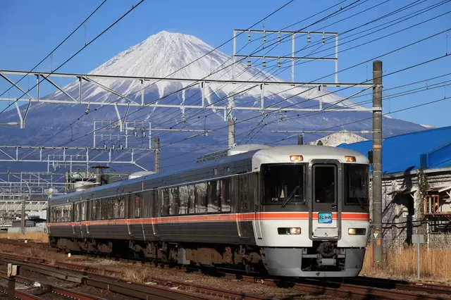 资料来源：PIXTA 