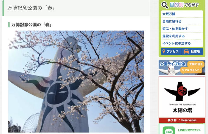 萬博紀念公園 櫻花 太陽塔