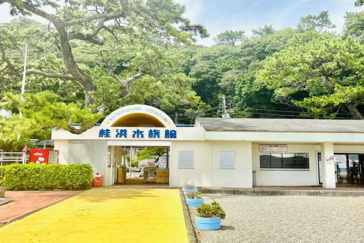 桂浜水族館