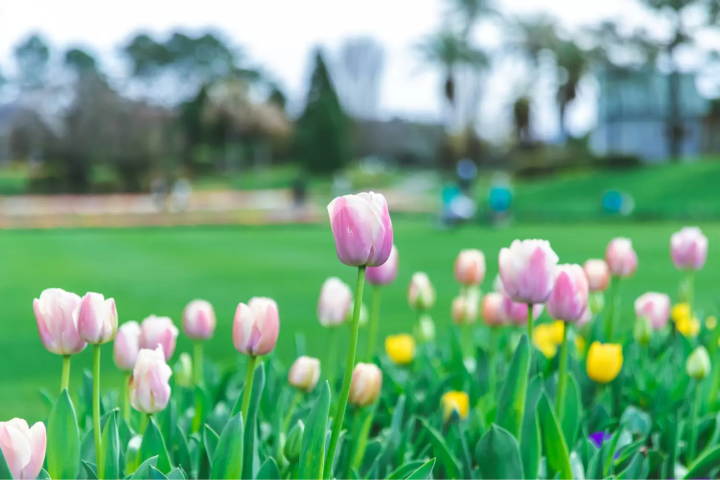4〜6月の宮崎の気温や服装
