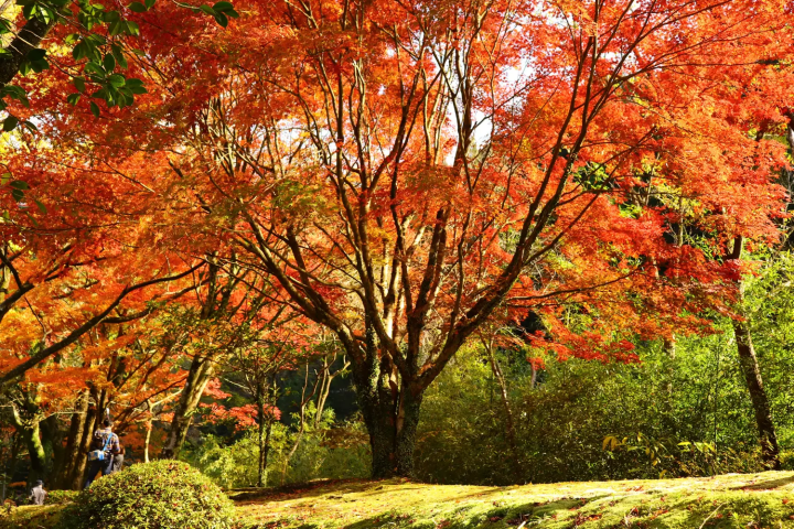 10〜12月の宮崎の気温と服装