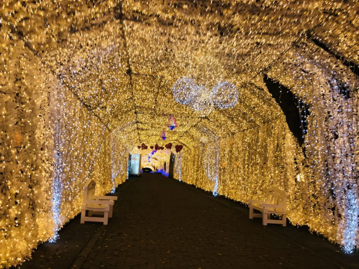 御殿場高原 時の栖