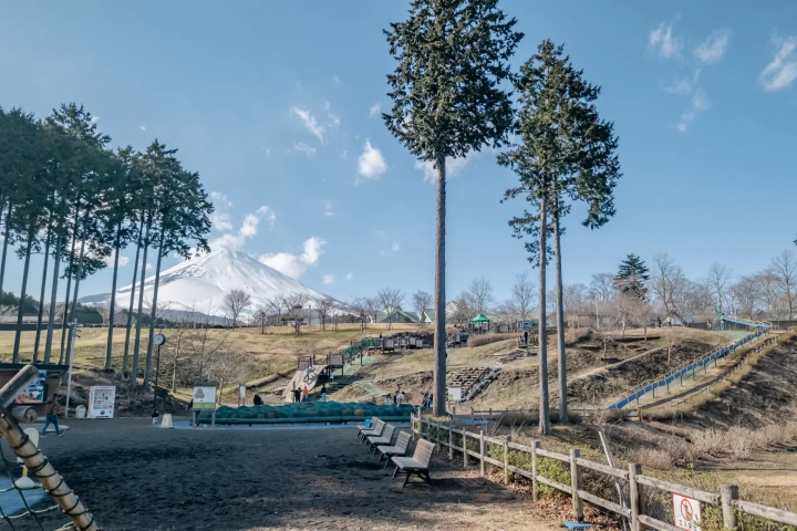 富士山樹空の森