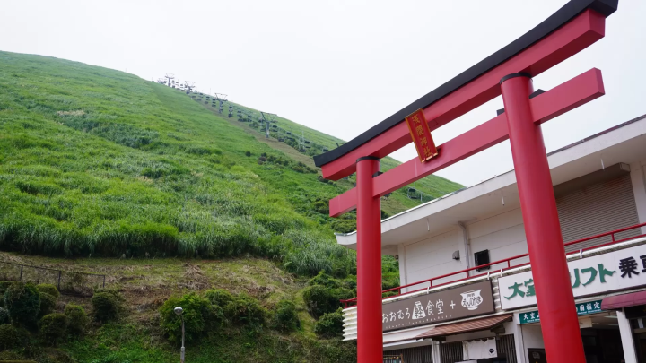 【靜岡】有如抹茶布丁的伊東絕景「大室山」!在火山口邊的步道欣賞伊豆美景