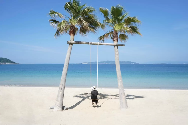 ヤシの木ブランコ