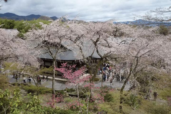 Tenryuji Temple
