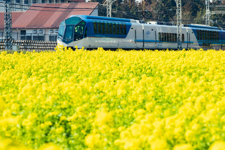 近鉄活用！三重県南部のおすすめ日帰り旅行プラン（松阪・伊勢・志摩編）