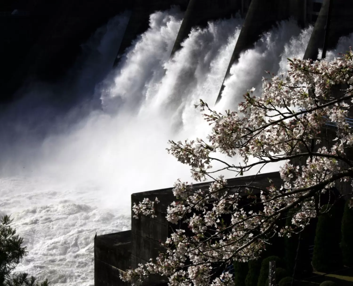 佐久間水壩公園