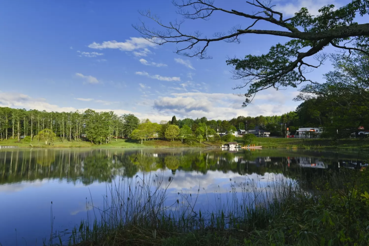 大座法師池　長野市