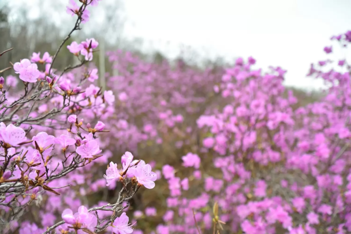 北見　4月～6月