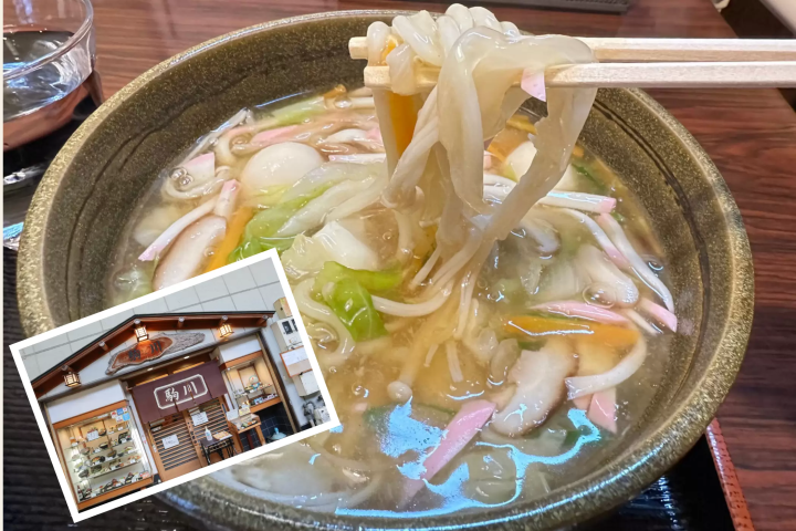 浓酱杂烩乌冬面 