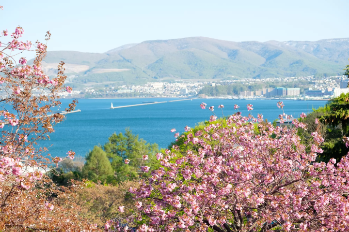 4月～6月的氣溫/穿著｜觀光時適合方便穿脫的穿搭