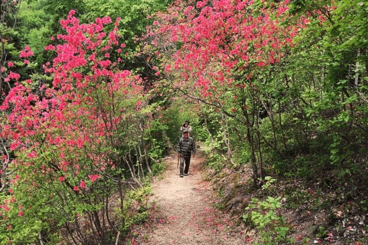 攻略せよ！！愛媛県と高知県の県境にある、続日本100名城の一つ、河後森城！！