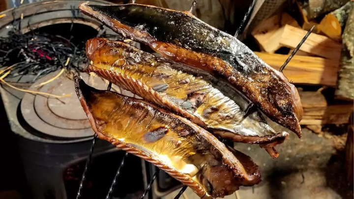 Shikoku Culinary Tourism!!! A delicious travel guide to Shikoku!!