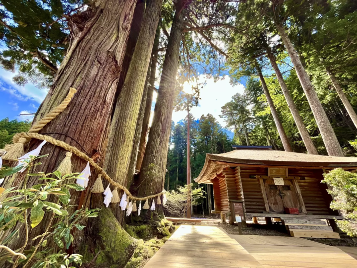 【大阪、奈良、和歌山】寺庙、古墓和自然风光！大阪附近的3处世界遗产