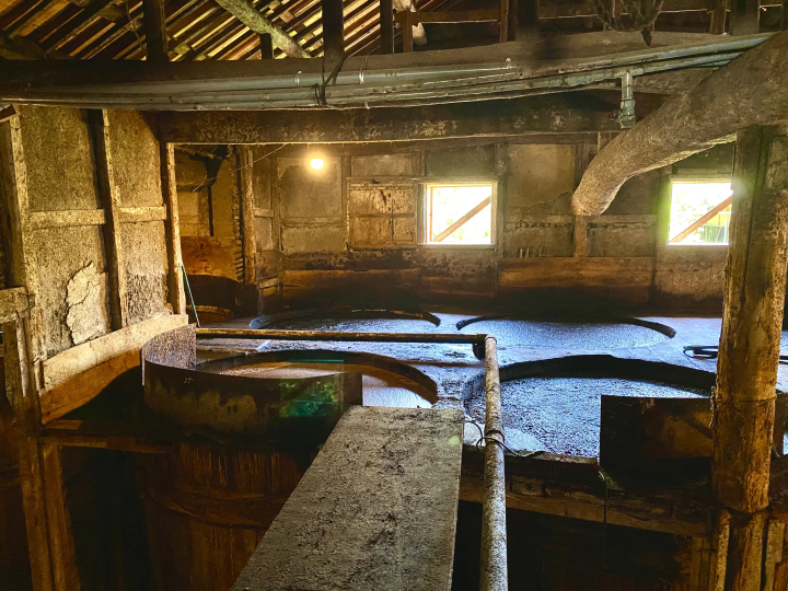 นั่ง Jumbo Ferry ไปเลย! แนะนำทริป 2 วัน 1 คืน เกาะโชโดะชิมะ