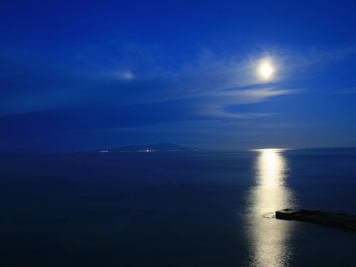 【2025年開催】伊豆・熱川温泉 粋光で河津桜を体感！