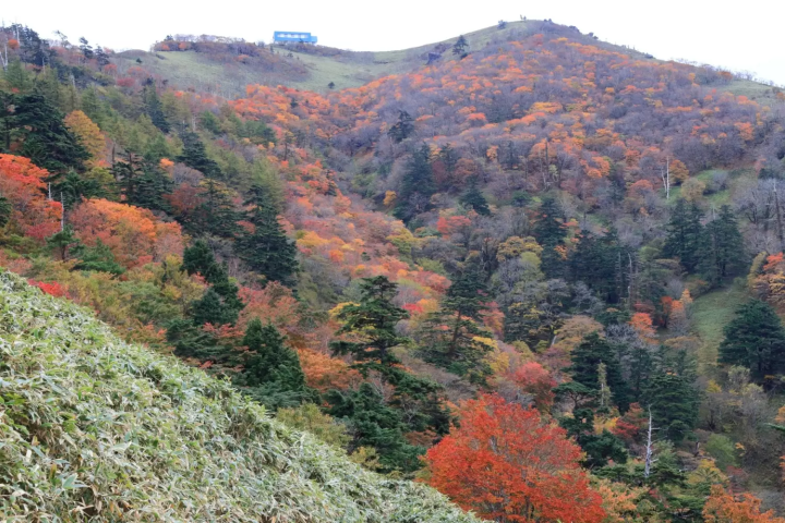 徳島 10月〜12月
