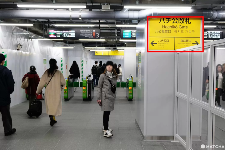 Hachiko Exit and Ticket Gate