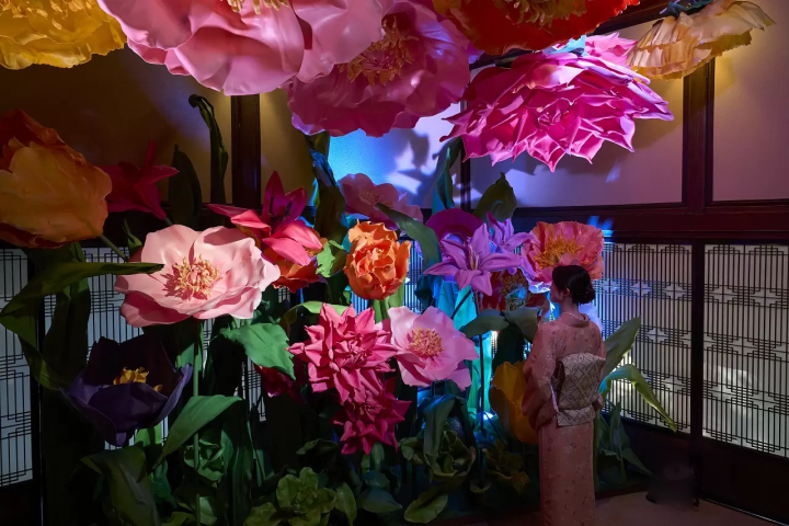 Alice in Wonderland Exhibition