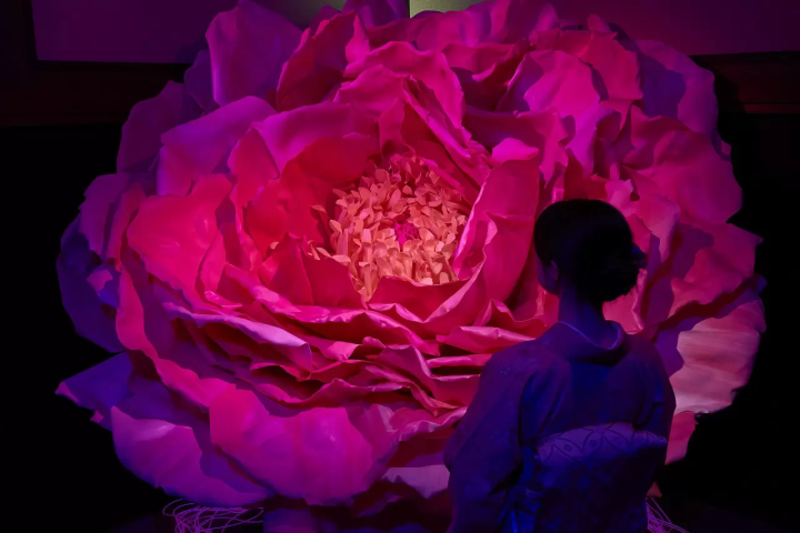 Alice in Wonderland Exhibition