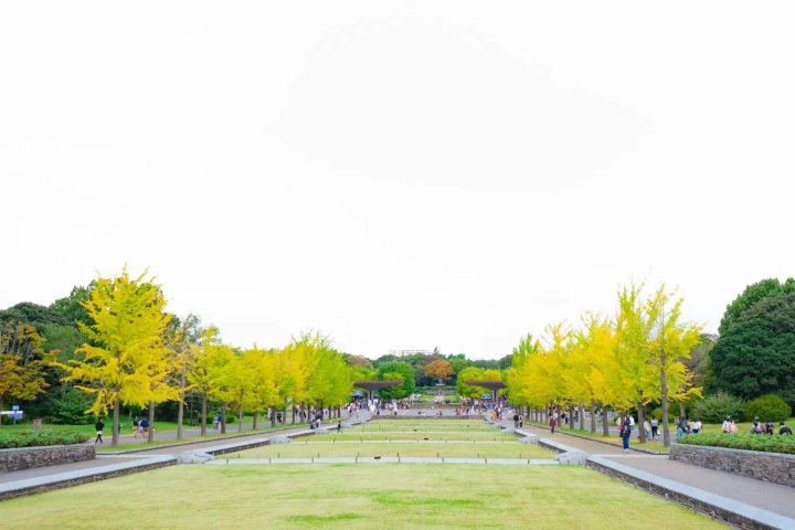 国営昭和記念公園