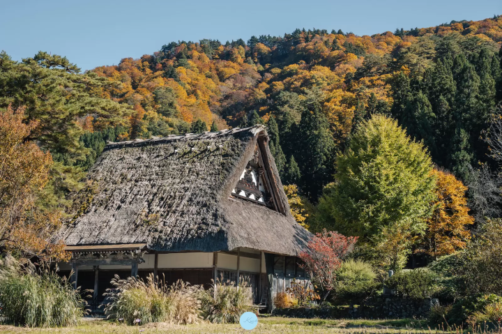 照片由Keiko拍攝