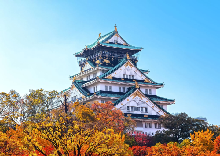 Matcha Making Osaka | 오사카에서 말차 만들기 체험 + 일본식 과자 세트