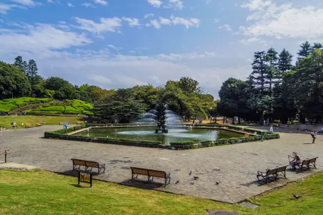 世田谷公園