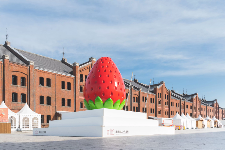 橫濱紅磚倉庫 草莓祭2025 大草莓