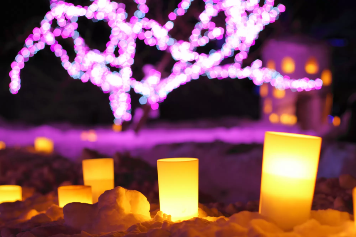 青森 弘前城雪燈籠祭 基本資訊