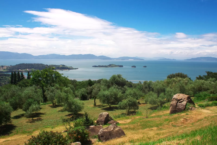 岡山　デート　牛窓オリーブ園