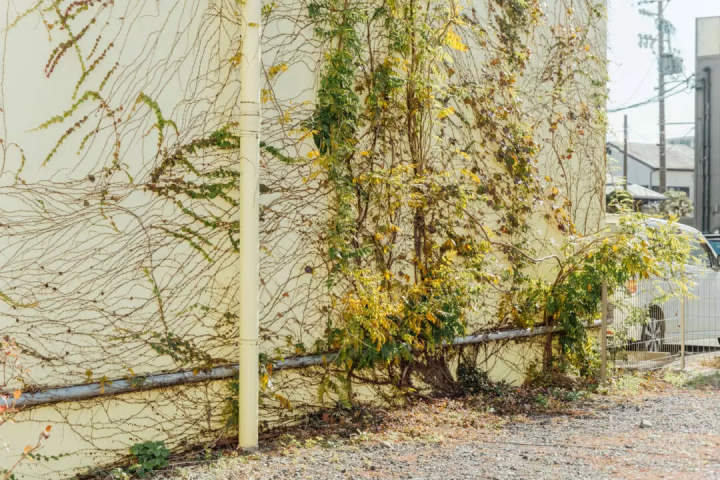 雖然沒有什麼特別的，但我還是很想拍張照。帶著相機在燒津週邊散步怎麼樣？