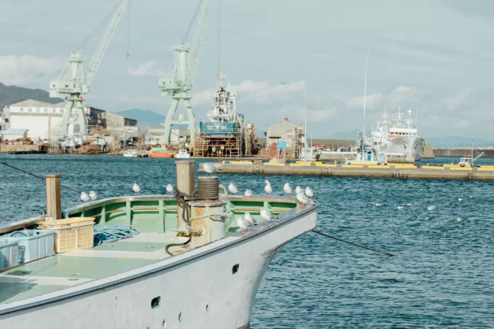 雖然沒有什麼特別的，但我還是很想拍張照。帶著相機在燒津週邊散步怎麼樣？