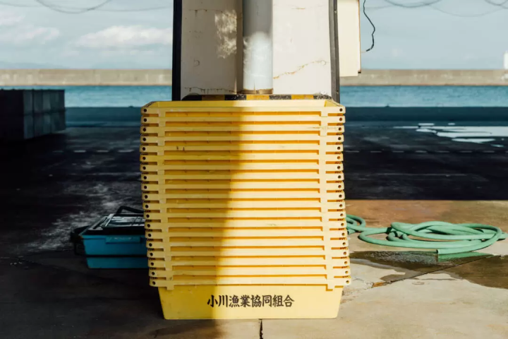 雖然沒有什麼特別的，但我還是很想拍張照。帶著相機在燒津週邊散步怎麼樣？