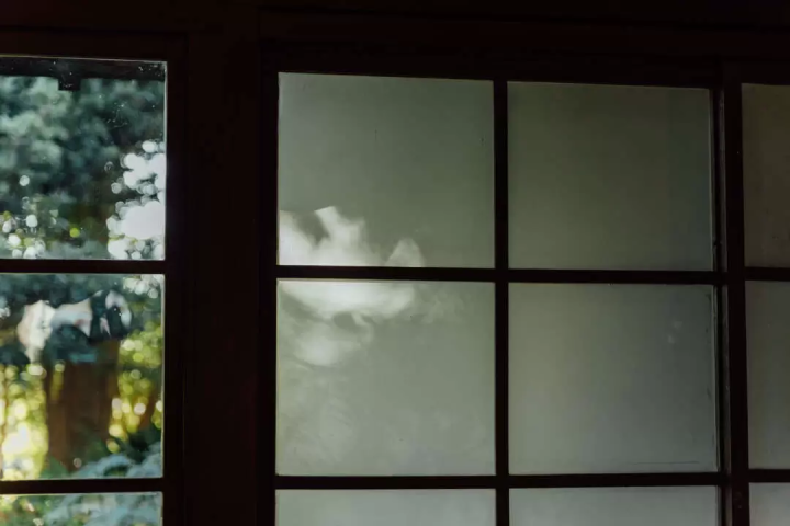 雖然沒有什麼特別的，但我還是很想拍張照。帶著相機在燒津週邊散步怎麼樣？