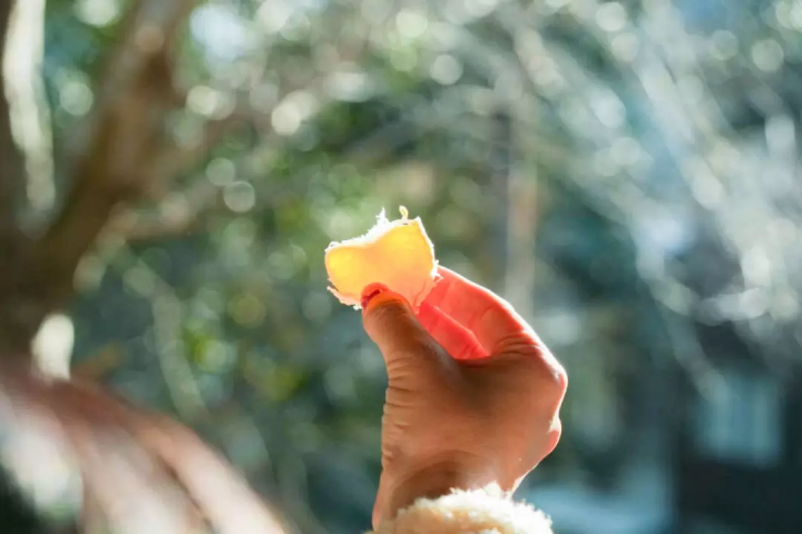 雖然沒有什麼特別的，但我還是很想拍張照。帶著相機在燒津週邊散步怎麼樣？