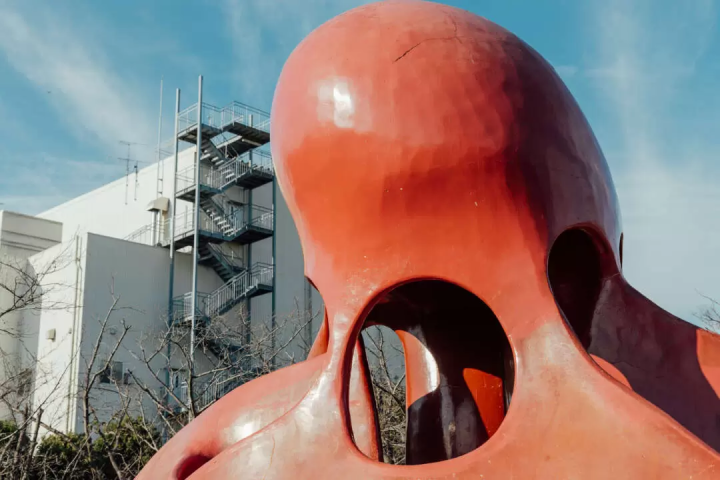 雖然沒有什麼特別的，但我還是很想拍張照。帶著相機在燒津週邊散步怎麼樣？