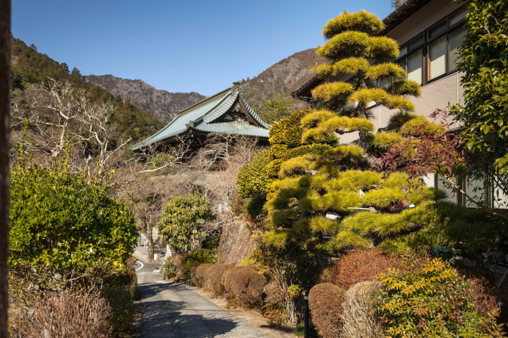 距離市中央約 2 小時車程的隱密能量景點身延的魅力