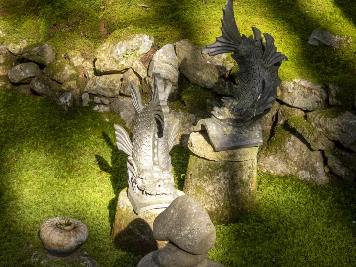 Shachihoko (Dolphin) 