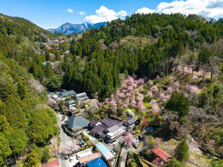 距離市中央約 2 小時車程的隱密能量景點身延的魅力