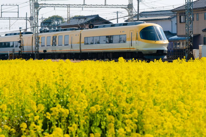 如何前往三重县明和町 | 从京都、大阪、伊势神宫出发的推荐交通方式