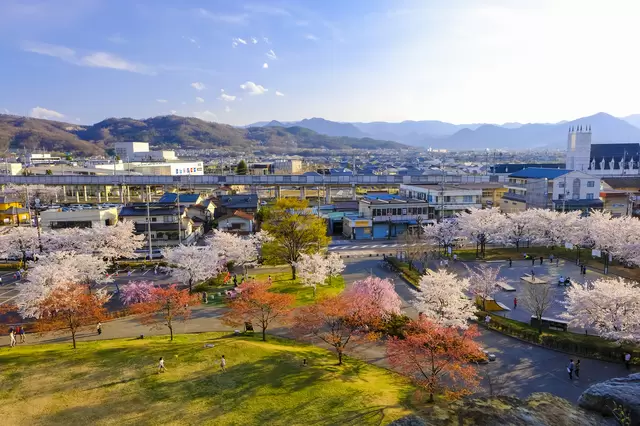 【2025】為台灣選手加油!日本職棒、職籃、職排資訊、球隊資料以及購票方式一次看!