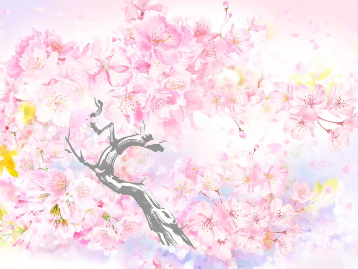 2025年日本星巴克櫻花季限定商品