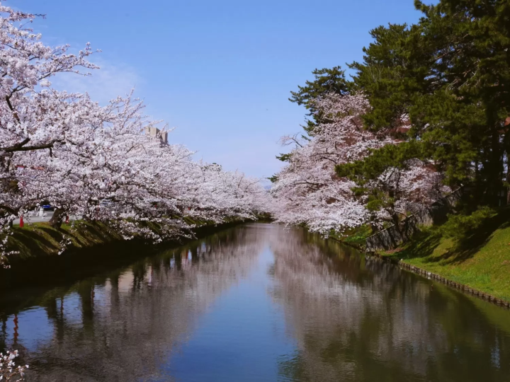 弘前公園