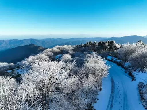 1月〜3月の気温