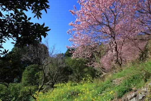 4月〜6月の気温